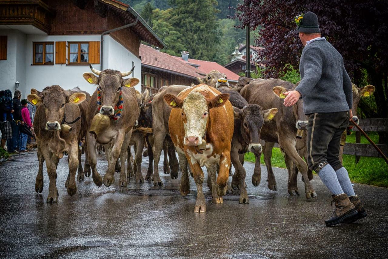 Ferienwohnung Zobl Füssen Exteriör bild